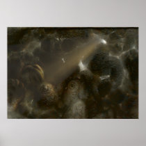 weird, sci fi, creature, monster, surreal, fantasy, dark, eyes, light, strange, houk, lovecraft, mood, eerie, chic, underground, cave, posters, prints, art posters, fairy posters, cool posters, unique, sci fi posters, space posters, artsprojekt, school, back to school, Poster with custom graphic design