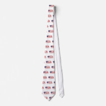 These Colors don't Run America Neckties