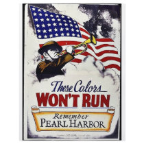 These Colors, Won't Run, Pearl Harbor Flyers
