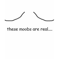 these moobs are real.... t-shirts