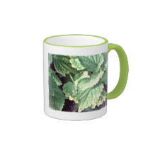 These Quiet Seasons May Hyssop Coffee Mug