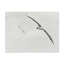 "these wings" postcards