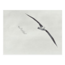 "these wings" postcards