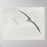 "these wings" posters