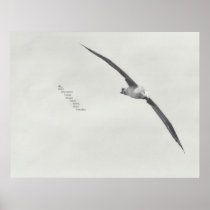 "these wings" posters