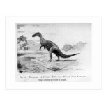 Thespesius art postcard