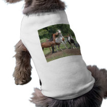 Thethreestooges pet clothing by RoyalDphotos Thethreestooges pet clothing