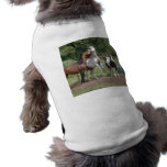 Thethreestooges Pet T Shirt