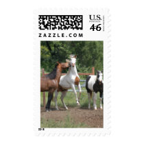 Thethreestooges Stamps