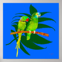 TheTwo Parrots posters