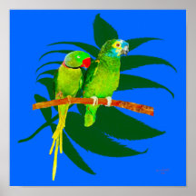 TheTwo Parrots Posters