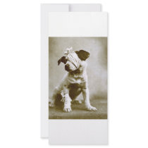 thevictor rack cards by Irishdreams thevictor rack cards