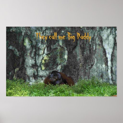 They call me Big Daddy Poster | Zazzle