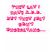 Ladies Petite T-Shirt