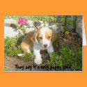 They say it's only puppy love cards by pattycake They say it's only puppy love cards