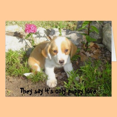 They say it's only puppy love card by pattycake