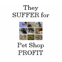 They SUFFER for Pet Shop PROFIT t-shirts by kellynsmith1 They SUFFER for Pet Shop PROFIT t-shirts