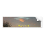 . . . They're Here!!! Bumper Sticker