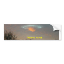 . . . They're Here!!! bumper stickers