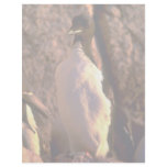 Thick-billed Murre at dawn, Hudson Bay, NWT, Canad Customized Letterhead