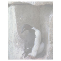 Thick-billed Murre with chick, Hudson Bay, NWT, Ca Personalized Letterhead