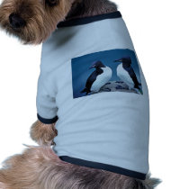Thick-billed Murres, 1989 pet clothing by animalpark Thick-billed Murres, 1989 pet clothing