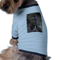 Thick-billed Murres on Hall Island pet clothing by animalpark Thick-billed Murres on Hall Island pet clothing