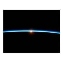Thin Blue Line Postcard