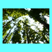 Things are Looking Up Oil Painting posters by takenotestationary Things are Looking Up Oil Painting posters