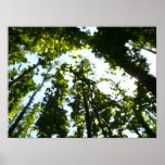 Things are Looking Up Oil Painting Print