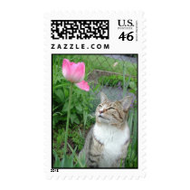 Things are looking up stamps