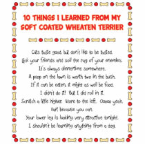 Things I Learned From Soft Coated Wheaten Terrier Photo Cutout