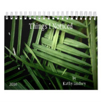 Things I Noticed, by Kathy Lindsey Wall Calendars