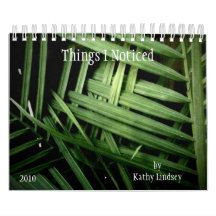 Things I Noticed, by Kathy Lindsey Wall Calendars