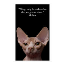 "Things only have the value that we give to them." posters