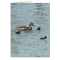 Things That Float Greeting Card