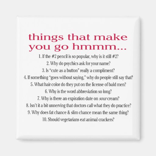 Things that make you go hmmm... refrigerator magnet