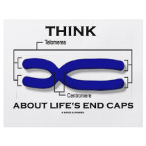Think About Life's End Caps (Telomeres) flyers by wordsunwords Think About Life's End Caps (Telomeres) flyers