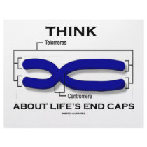 Think About Life's End Caps (Telomeres) letterhead