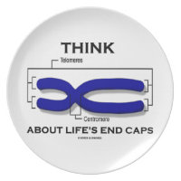 Think About Life's End Caps Telomeres Plates