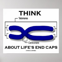 Think About Life's End Caps Telomeres Poster
