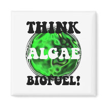 Think algae biofuel! refrigerator magnets
