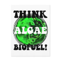 Think algae biofuel! postcards