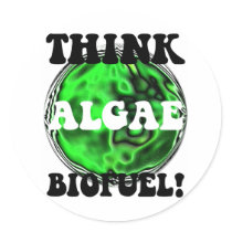 Think algae biofuel! sticker
