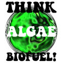 Think algae biofuel! t-shirts by ecologyboutique Think algae biofuel! t-shirts