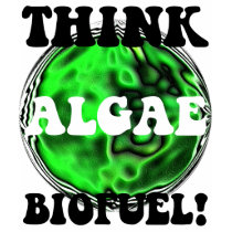 Think algae biofuel! t-shirts