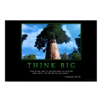 Think Big posters