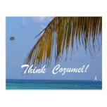 Think Cozumel! Postcard