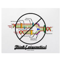 Think Epigenetics! (Cross Out DNA Replication) Letterhead