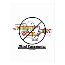Think Epigenetics! (Cross Out DNA Replication) Postcard
